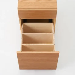 Armoire de bureau en bois de chêne