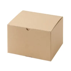 Boîte‐cadeau 21 x 18 x 12.5cm