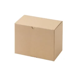 Boîte‐cadeau 18 x 10.5 x 12.5cm