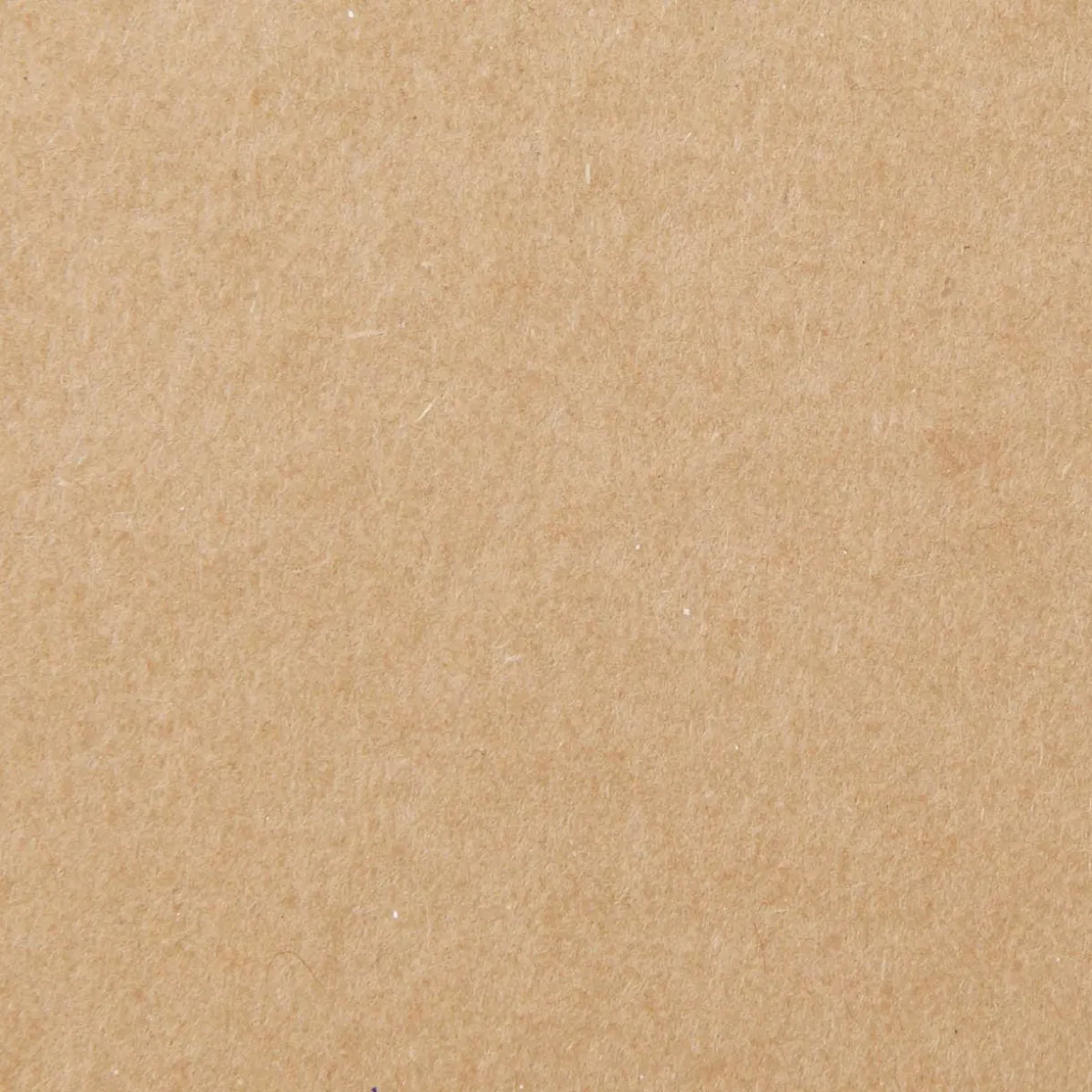 Classeur A4 30 anneaux en kraft