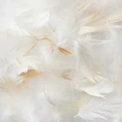 Oreiller en plumes  43 x 63 cm