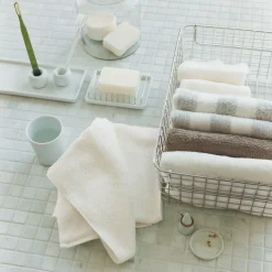 Support de brosse à dents